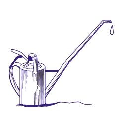 Иллюстрация «Виноград» на сувенирную кружку для компании «Мегафон-Поволжье»